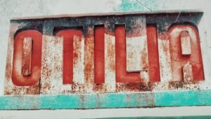 OTILIA MULTIESPACIO PROPONE UN TALLER INTENSIVO DE ASTROLOGÍA HERBARIA CON MARTÍN GREGORIO