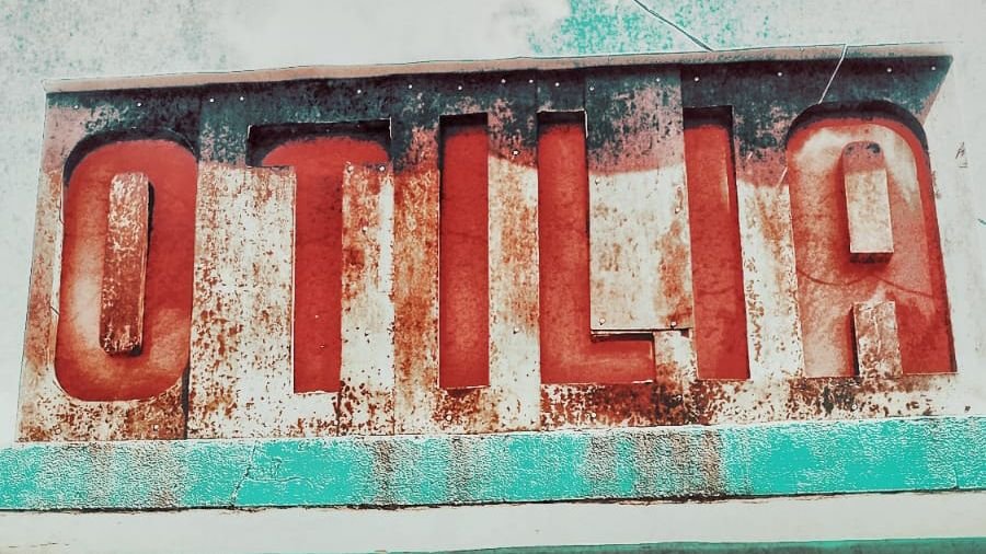 OTILIA MULTIESPACIO PROPONE UN TALLER INTENSIVO DE ASTROLOGÍA HERBARIA CON MARTÍN GREGORIO