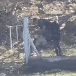 VIOLENTO INTENTO DE ROBO EN PUENTE LAS MOJARRAS: DETUVIERON A TRES SOSPECHOSOS