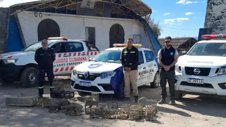 ALLANAMIENTO EN TANTI: RESCATARON AVES SILVESTRES Y SECUESTRARON ELEMENTOS DE CAPTURA